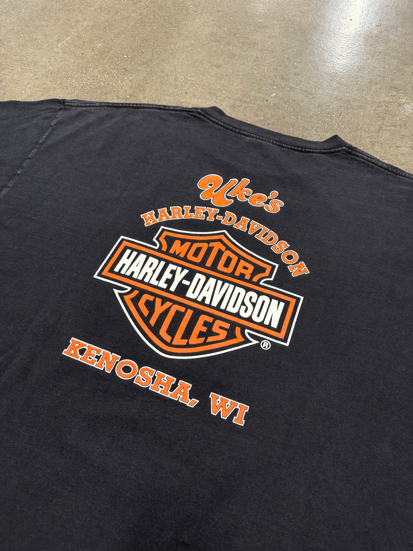 Vintage Y2K Harley Davidson Kenosha, WI T-Shirt