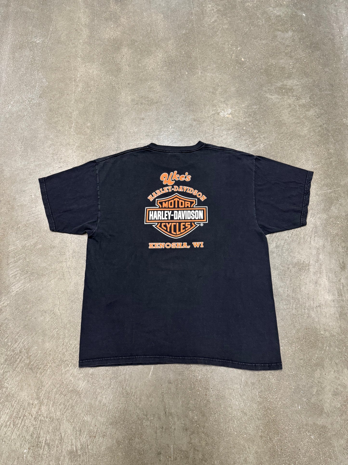 Vintage Y2K Harley Davidson Kenosha, WI T-Shirt