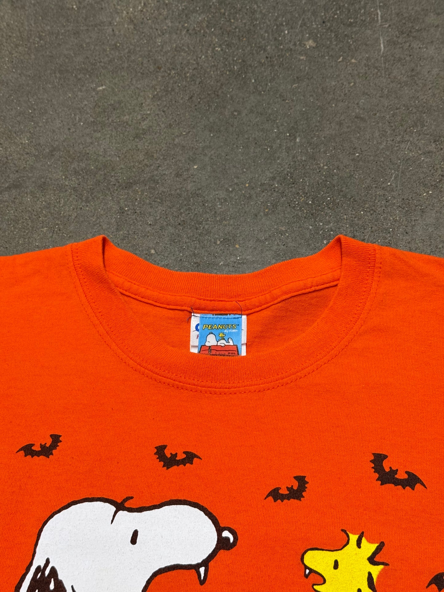 Vintage Peanuts Charlie Brown Snoopy Halloween T-shirt